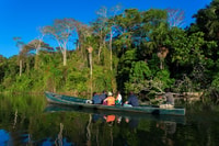Jungle trekking + Sandoval Lake - Housity