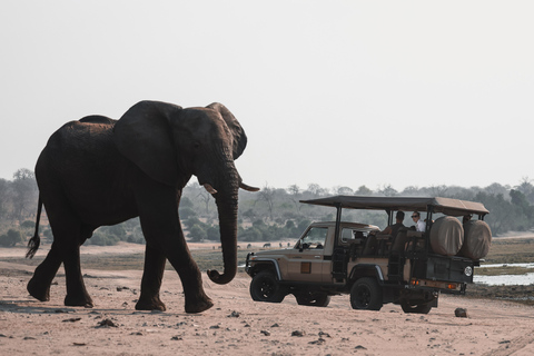 Private Game Drive Safari in the Chobe National Park