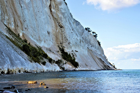 Copenhagen Møns Klint & Forest Tower Tour