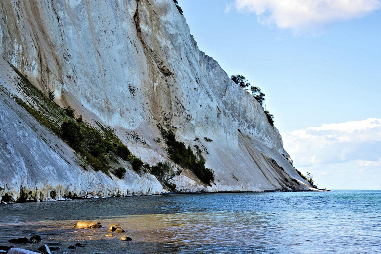 Copenhagen Møns Klint & Forest Tower Tour