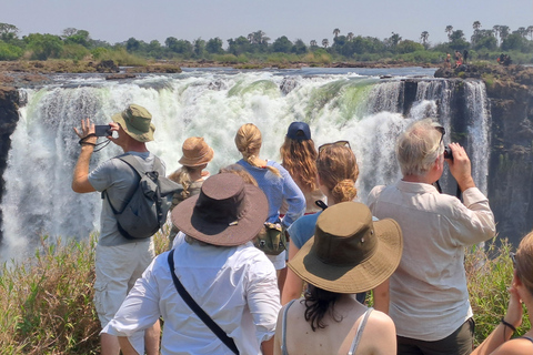 Tour guiado pelas Cataratas Vitória