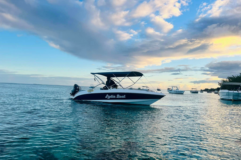 Le morne : Bateau privé, observation des dauphins et baignade