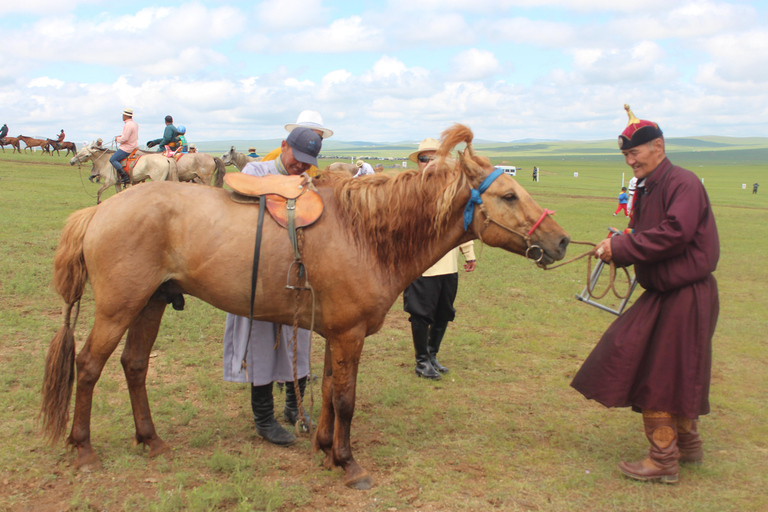 From Ulaanbaatar: Mongolian Naadam Festival Tour
