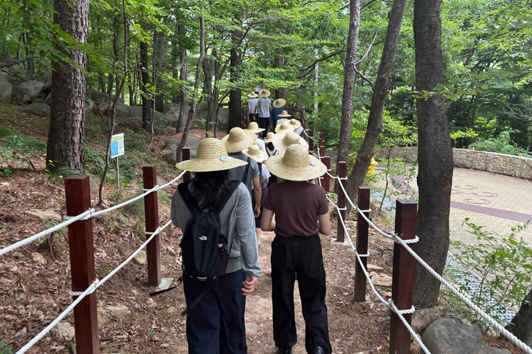 Busan: Saturday Temple Meditation & Tea Ceremony Tour Busan: Beomeosa Temple Meditation & Tea Ceremony Tour