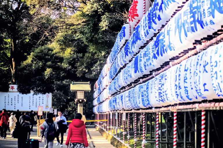 Tokyo en 4 heures (Meiji Jingu, Harajuku, Shibuya, Shijuku)