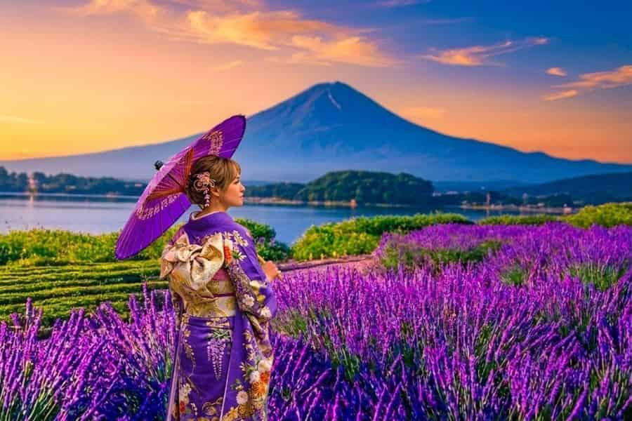 Tokio: 5. Station Mt. Fuji, Kawaguchi-See, Option mit Hotelabholung. Foto: GetYourGuide Tokio: 5. Station Mt. Fuji, Kawaguchi-See, Option mit Hotelabholung. Foto: GetYourGuide