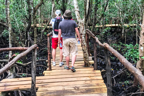 ZANZIBAR: Foresta di Jozani e snorkeling con i delfini a Mnemba con barbecueTOUR PRIVATO SENZA SERVIZIO DI PRELIEVO E RIENTRO IN HOTEL