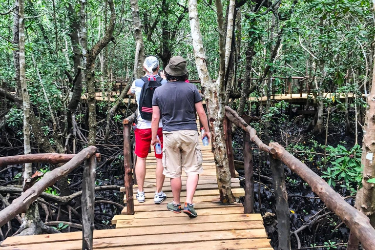 ZANZIBAR: Foresta di Jozani e snorkeling con i delfini a Mnemba con barbecueTOUR PRIVATO SENZA SERVIZIO DI PRELIEVO E RIENTRO IN HOTEL