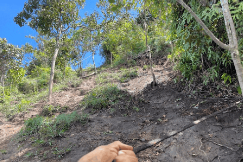 MEDELLÍN: WEJDŹ I ZDOBĄDŹ NATURALNĄ PIRAMIDĘ CERRO TUSAMedellin: Wycieczka piesza Cerro Tusa ze śniadaniem i lunchem