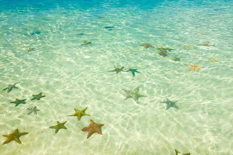 Zanzibar: Private Blue Lagoon & Starfish Snorkeling Tour Private Tour No Hotel pick up and drop-off