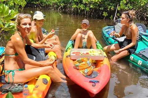 UZI ISLAND MANGROVE CONSAVATION WITH KAYAK TOUR PRIVATE TOUR WITH TRANSFER INCLUDED