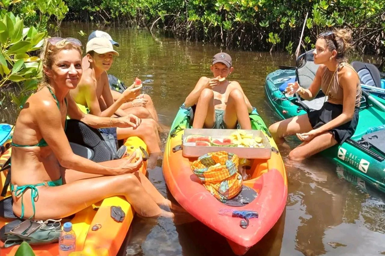 UZI ISLAND MANGROVE CONSAVATION WITH KAYAK TOUR PRIVATE TOUR WITH TRANSFER INCLUDED