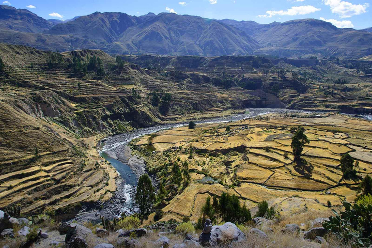 De Arequipa: Transporte de Arequipa para Cabanaconde com pequeno-almoçoDe Arequipa: Transporte de Arequipa Cabanaconde com pequeno-almoço