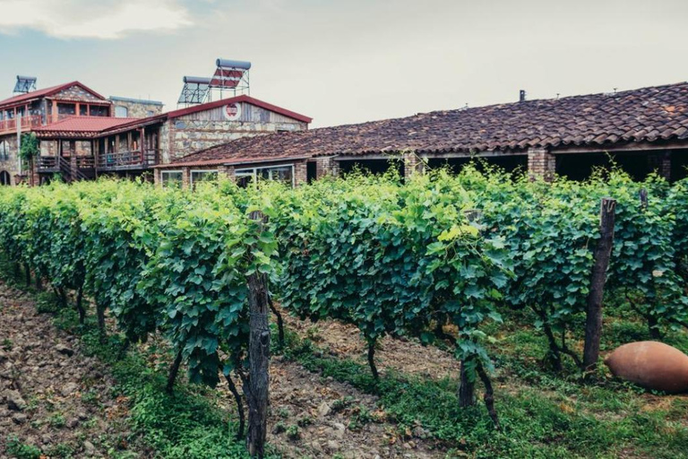 Kakheti: Bodbe, Sighnaghi en Telavi dagvullende tour