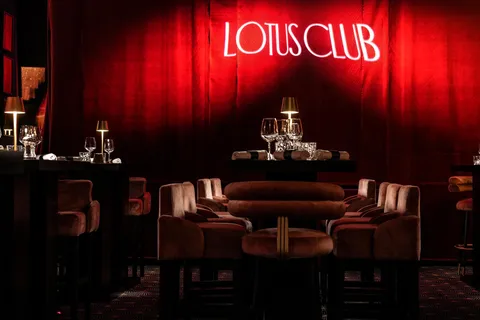 Marrakech: Vibrant Dinner Show at The Lotus Club