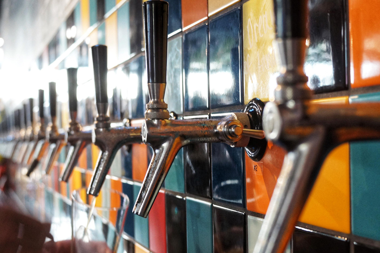 Luzern: Besuch einer Mikrobrauerei inkl. Degustation