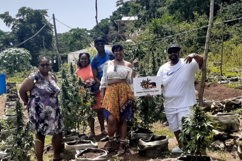 Birds and Cannabis Farm Private Tour From Falmouth/ Trelawny