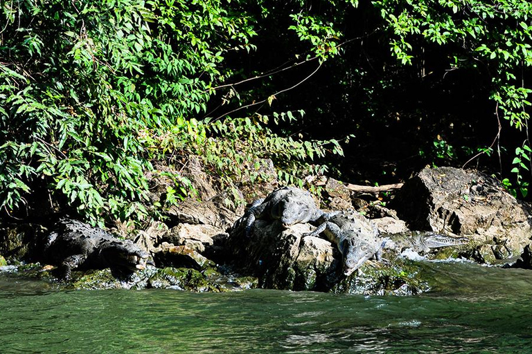 من توكستلا: تشياباس، ناتوراليزا، كولتورا واي ماجيا جويادو