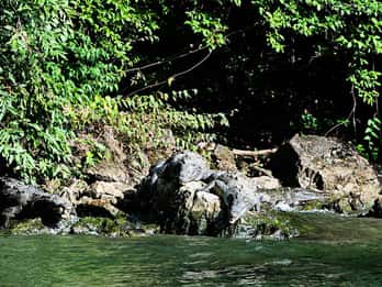 Desde Tuxtla: 4 días, Chiapas, Naturaleza, Cultura y Magia Guiado