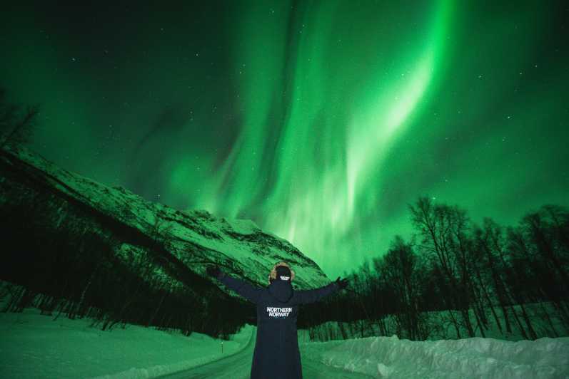 Tromsø: Aurora Borealis Chase with Guide, Meals & Campfire