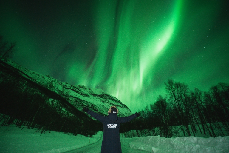 Tromso : Chasse aux aurores boréales en bus en ENG, FR ou ESVisite des aurores boréales avec un guide parlant anglais