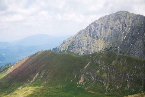Brasov: Carpathians Trail Running Tour with Guide