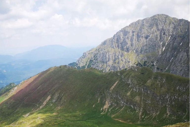 Brasov: Carpathians Trail Running Tour with Guide