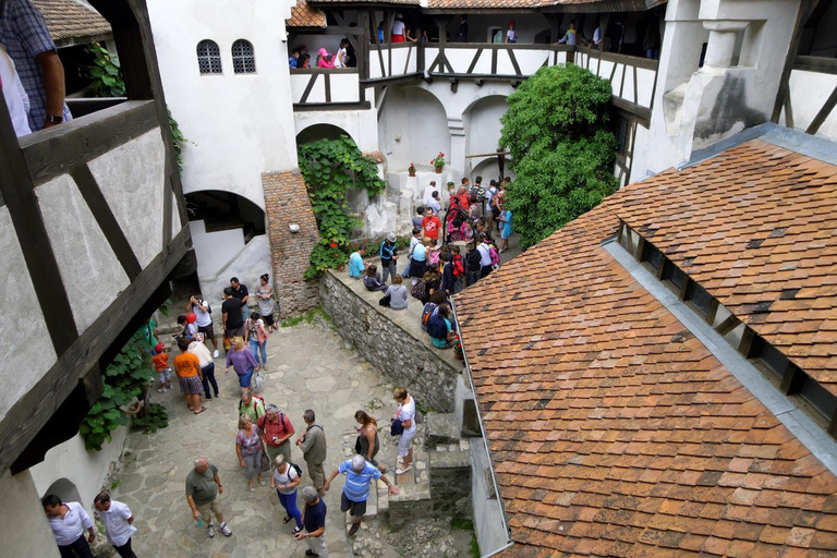 Excursión de o zi