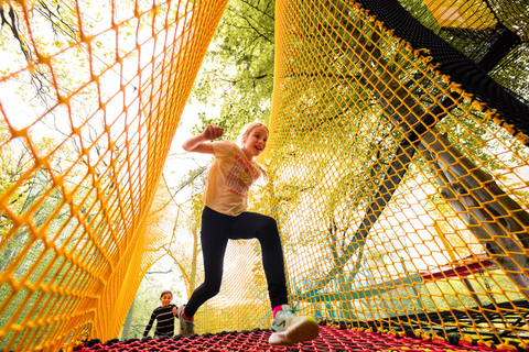 Windermere: Treetop bouncy nets (Treetop Nets)