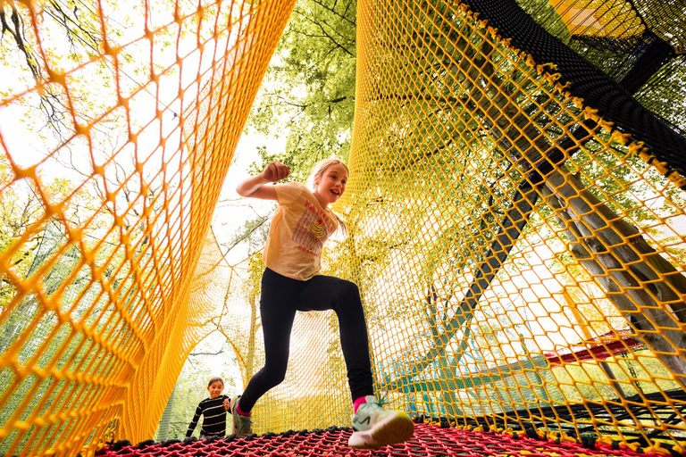 Windermere: Treetop bouncy nets (Treetop Nets)