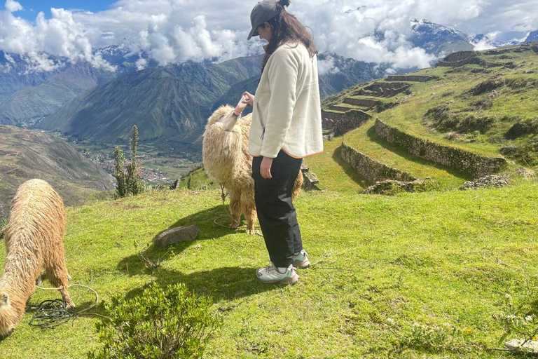 Cusco, Chinchero: Overnight Dome Stay and Walk with Alpacas