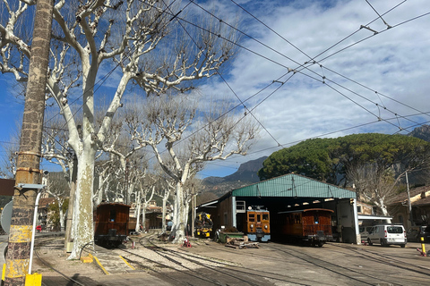 PRIVÉ Port de Sóller, Sóller en Sa Foradada Sunset Tour