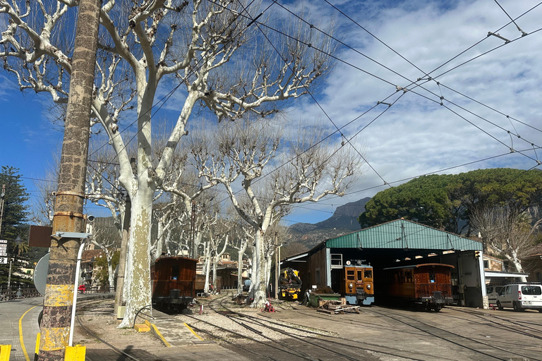 PRIVÉ Port de Sóller, Sóller en Sa Foradada Sunset Tour
