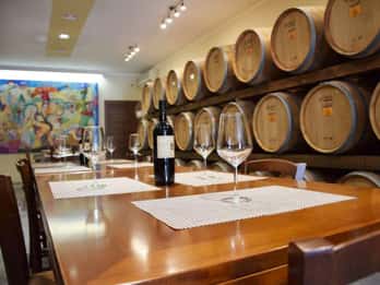 Lecce: Negroamaro Lands Winery Tour with Wine Tasting