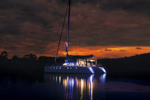 Taupo: tour in barca a vela sul lago Taupo con incisioni rupestri MaoriVisita alle 15:30