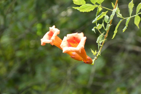 Blackwater Creek: Exclusive Nature Escape Kayak Adventure Blackwater Creek: Exclusive Wilderness Kayak Adventure