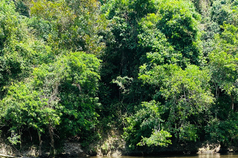 Explore the Magic of Tayronaka: Indigenous Culture, Nature and Adventure