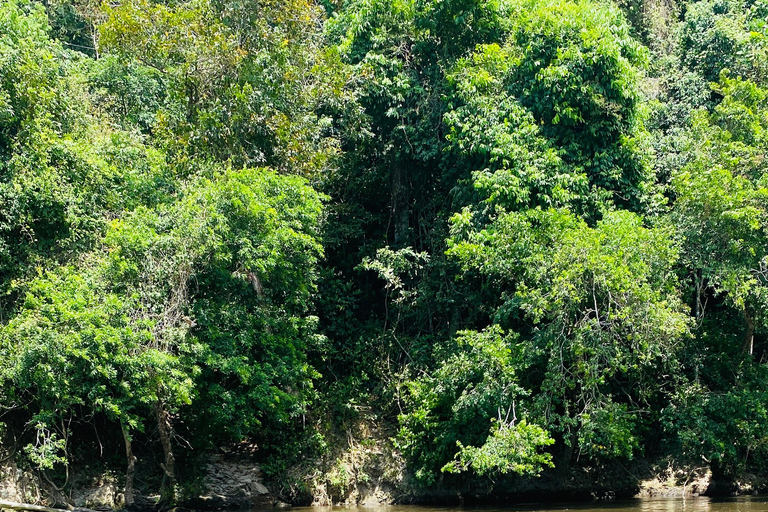 Explore the Magic of Tayronaka: Indigenous Culture, Nature and Adventure