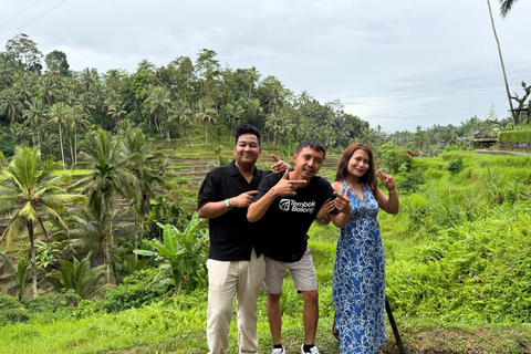 Ubud: Private Half-Day Tour Rice Terrace, Temple & Waterfall Private Half-Day Tour (With Entrance Tickets)