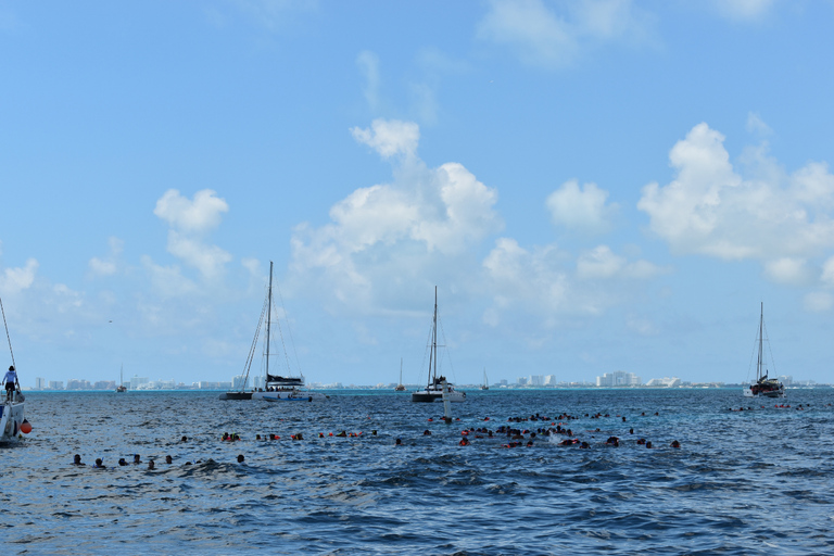 Cancun: Visit Isla Mujeres in a Catamaran with snorkel tour Tour from Cancun