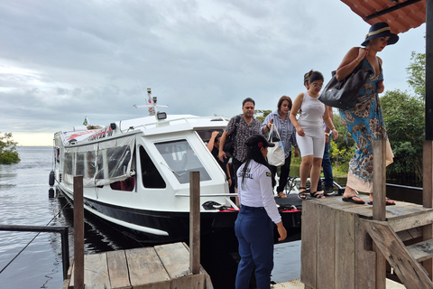 Manaus: Private Amazon Sunset and Night Tour by Speedboat