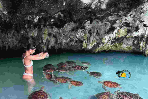 Jozani Forest & salaam cave sea turtles sanctuary