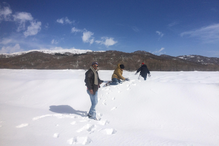 阿拉加茨山全天雪地体验之旅（含导游）