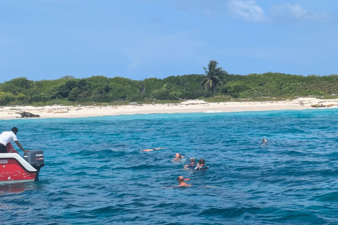 Au départ de Saint-Domingue : excursion d&#039;une journée à l&#039;île CatalinaDepuis Saint-Domingue : excursion d&#039;une journée sur l&#039;île Catalina