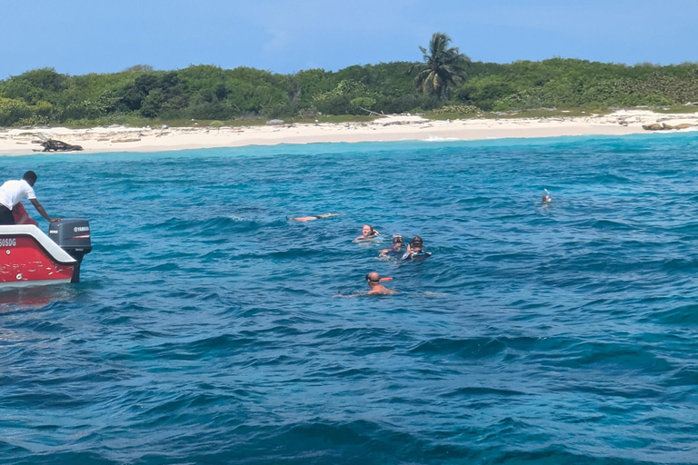 Au départ de Saint-Domingue : excursion d&#039;une journée à l&#039;île CatalinaDepuis Saint-Domingue : excursion d&#039;une journée sur l&#039;île Catalina