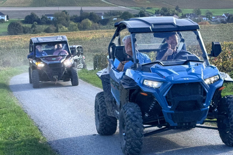 Champagne vineyards: 2-hour guided tour of the vineyards in a Buggy