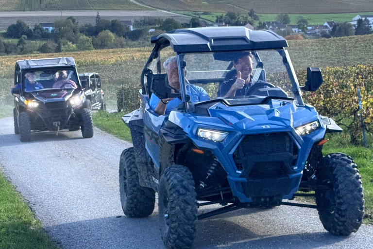 Champagne vineyards: 2-hour guided tour of the vineyards in a Buggy
