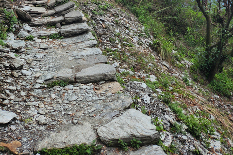 Annapurna Base Camp Trek: 12-Day Guided Tour