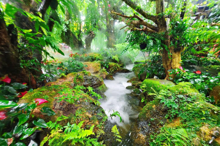 Chiang Mai: Chiang Rai Temples & Singha Park Day Trip