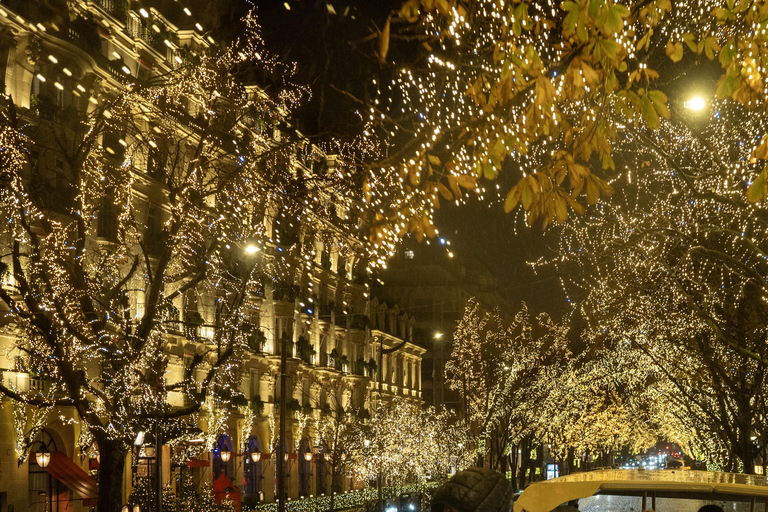 Paris: Christmas Lights Night Tour by Open-Top Bus 24-Hour Hop-on, Hop-off Tour & Christmas Lights Night Tour